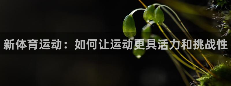 191体育馆
