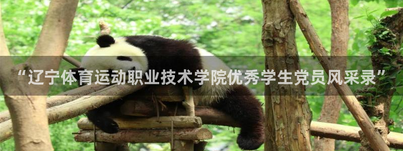 191体育馆：“辽宁体育运动职业技术学院优秀学生党员风采录”