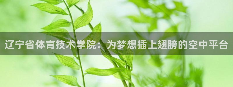 91体育在线登陆