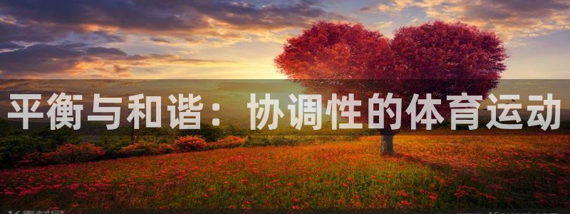 91体育在线登陆：平衡与和谐：协调性的体育运动