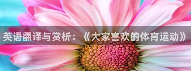 991体育综合1