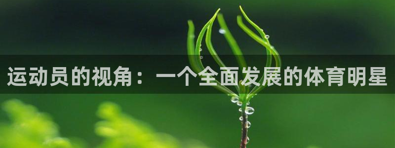 关键词：运动员的视角：一个全面发展的体育明星
