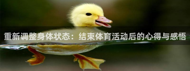 191体育馆：重新调整身体状态：结束体育活动后的心得与感悟